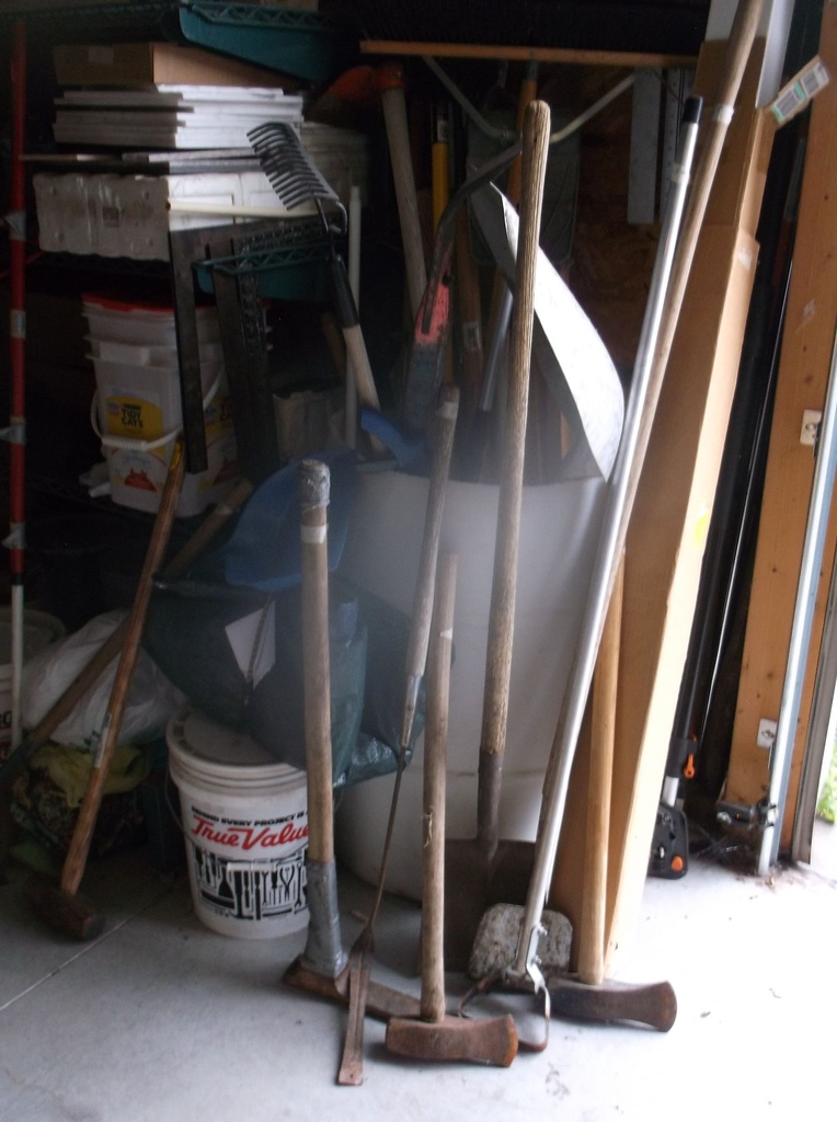 DSCF9617.JPG