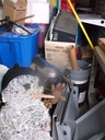 DSCF9555.JPG