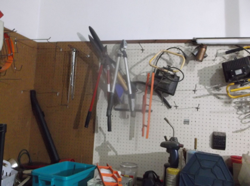 DSCF9519.JPG
