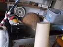 DSCF9501.JPG