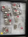IMG_0221.jpeg