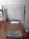 IMG_7875.JPG