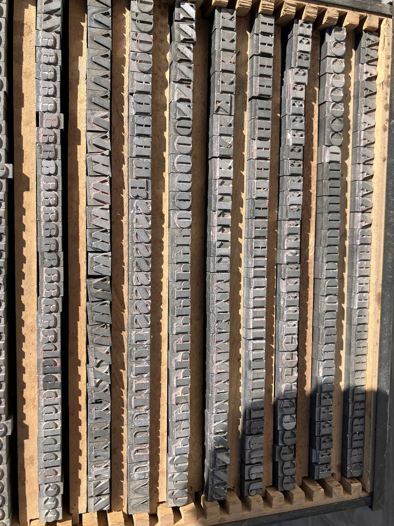 IMG_4771.jpg